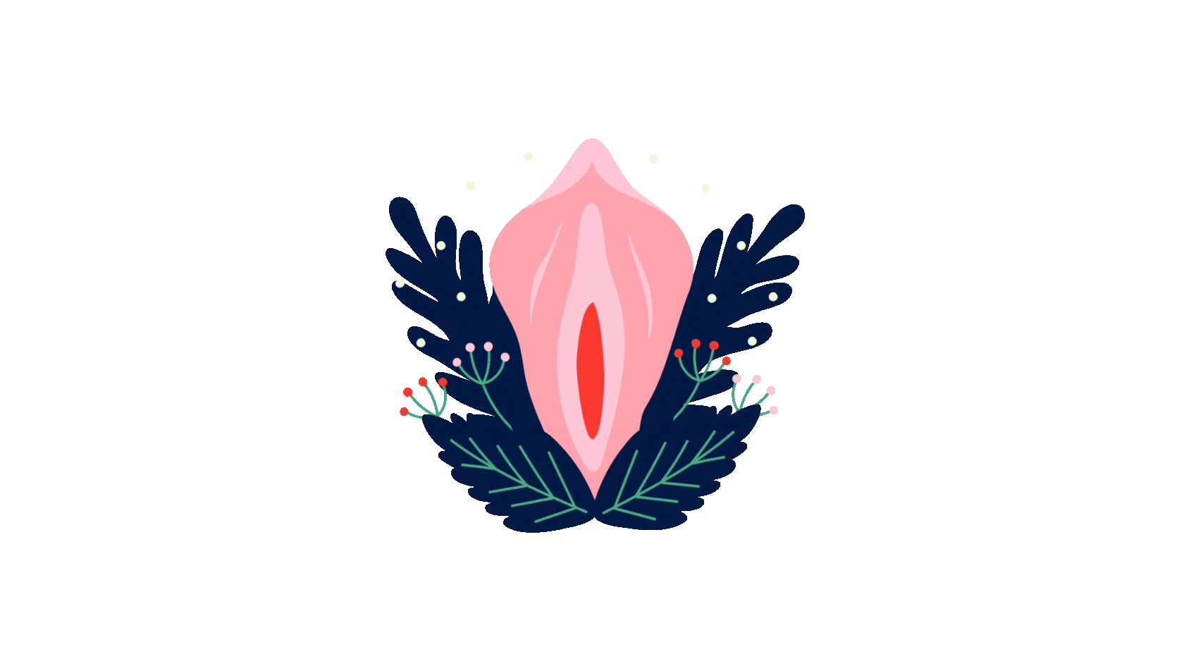 “vulva anatomy” “labia types” “vulva diversity” “normal vulva appearance” “vulva health”,