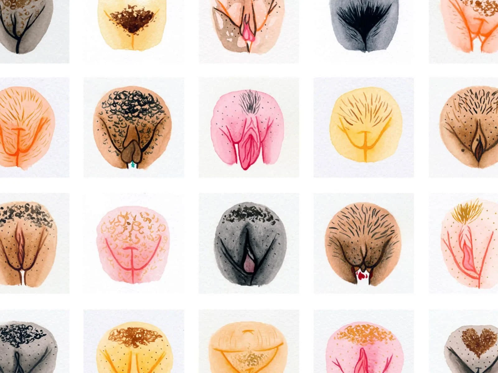 vulva, outie versus outie vagina, outie vagina diagram, innie vs outie vagina , innie vs outie va , innie pussy , innie vagina , outie vs innie vagina , innie and outie vagina , innie vagina diagram , outie vagina diagram , innie outie vagina diagram
