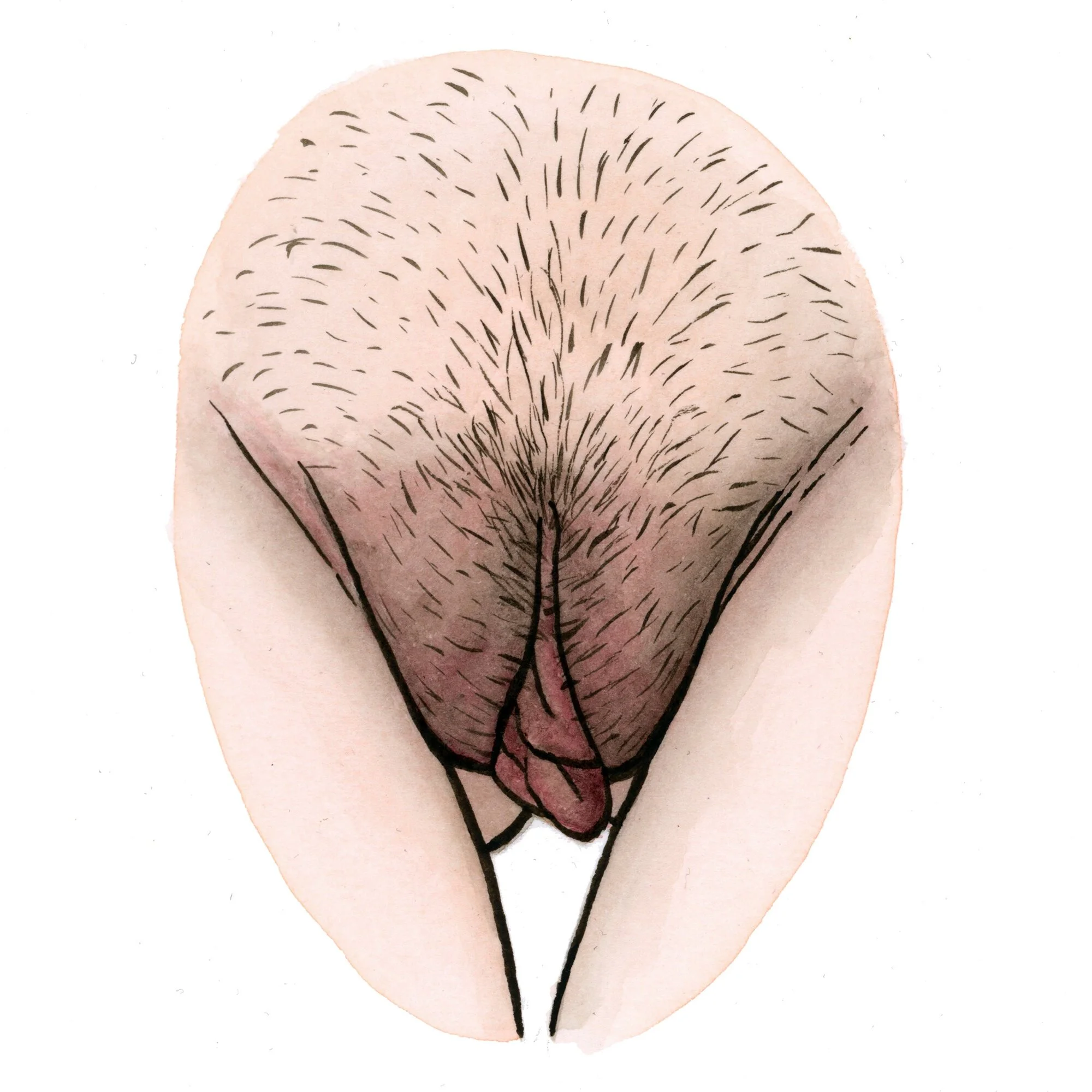 vulva, innie versus outie vagina, outie vagina diagram, innie vs outie vagina , innie vs outie va , innie pussy , innie vagina , outie vs innie vagina , innie and outie vagina , innie vagina diagram , outie vagina diagram , innie outie vagina diagram