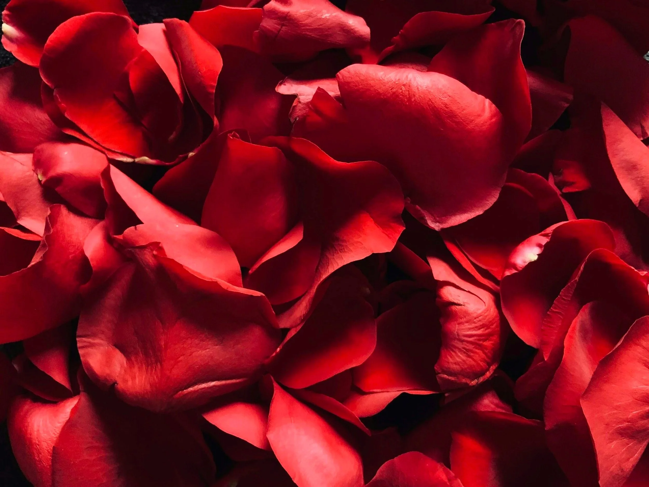 How to Have Great Valentine’s Sex After Months of Meh Sex