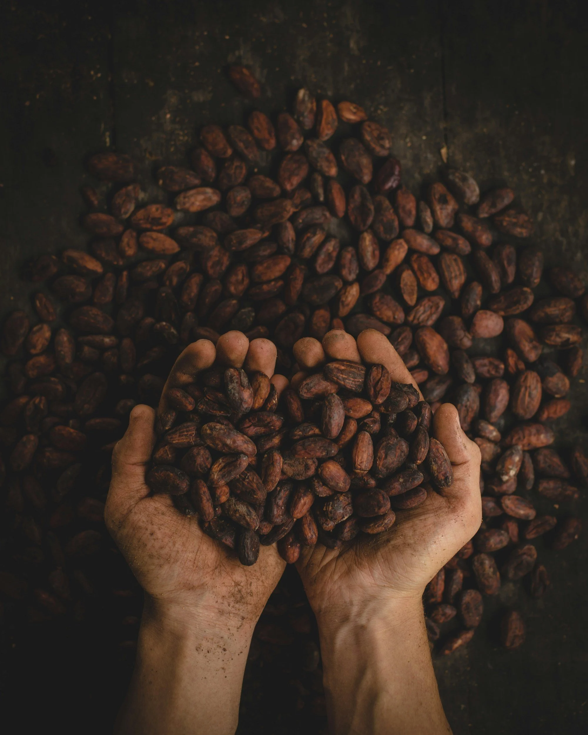How long do aphrodisiac chocolates take to work — pairing sensual foods like wine and chocolate in an intimate setting.” What does aphrodisiac chocolate do — mood-boosting effects of cacao as part of sensual eating and nervous system relaxation.