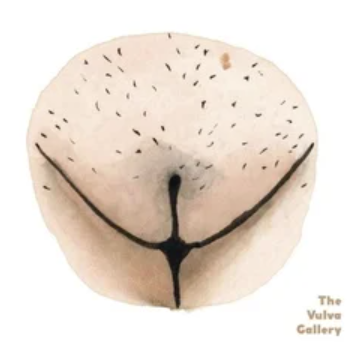 vulva, outie versus outie vagina, outie vagina diagram, innie vs outie vagina , innie vs outie va , innie pussy , innie vagina , outie vs innie vagina , innie and outie vagina , innie vagina diagram , outie vagina diagram , innie outie vagina diagram